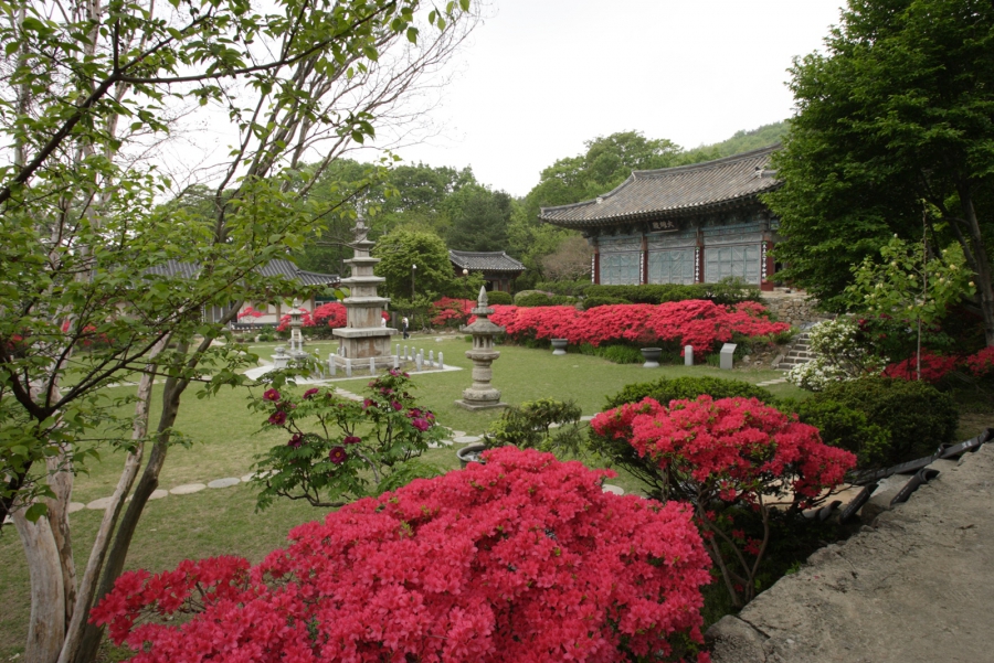 [4월] 봄이 오는 길목 찾아 떠나는 공주 여행