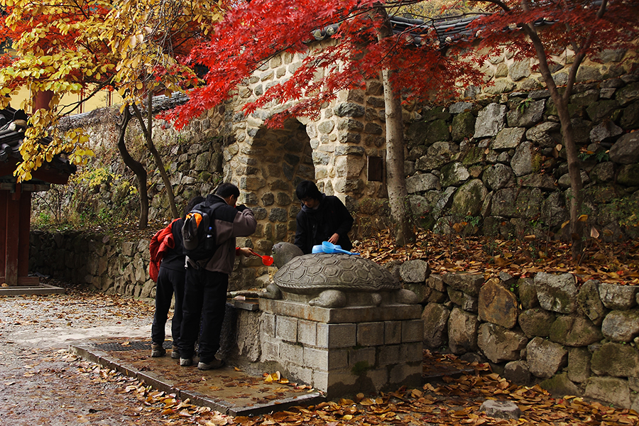 천년고찰 계룡산, 갑사