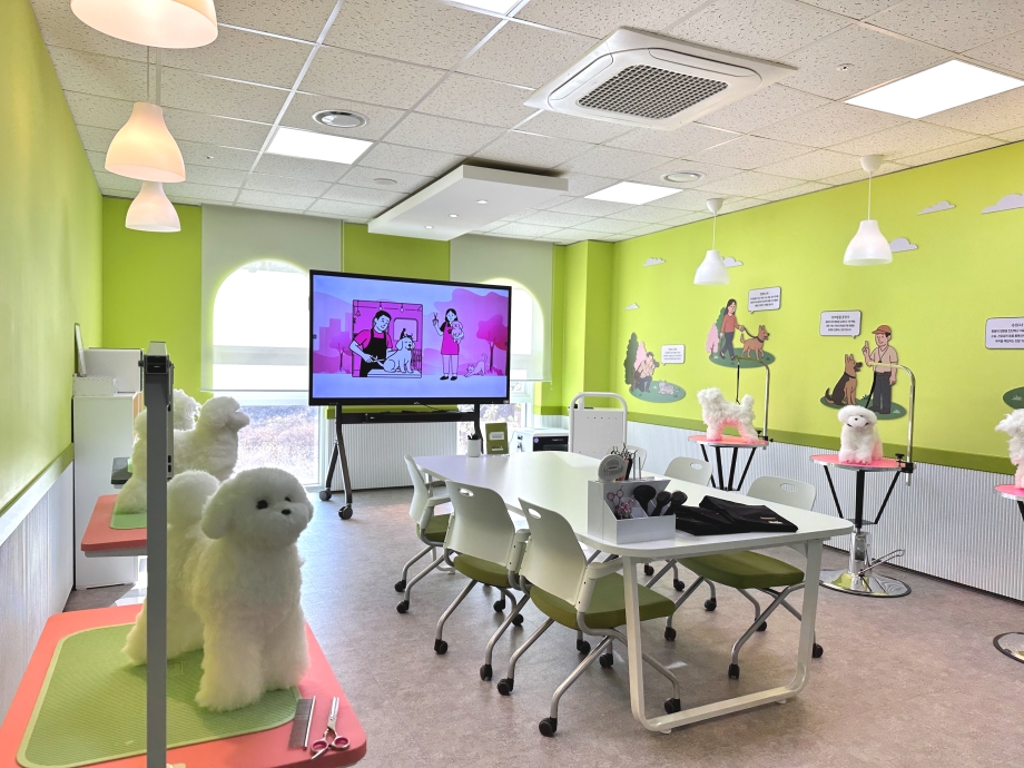 진로 반려동물관.jpeg